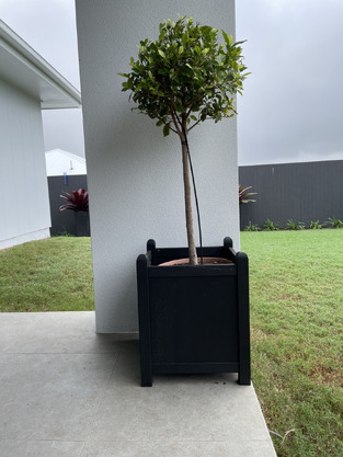 review image 0