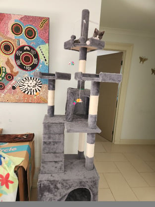 review image 2