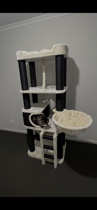review image 1