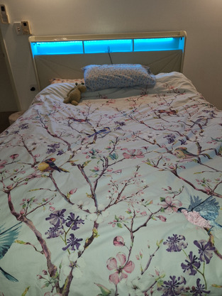 Winsted Upholstered Gas Lift Storage Bed with LED