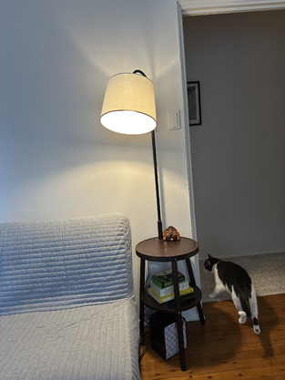 review image 0