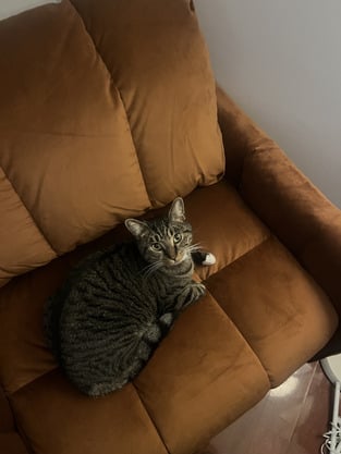 review image 1