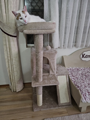 review image 1