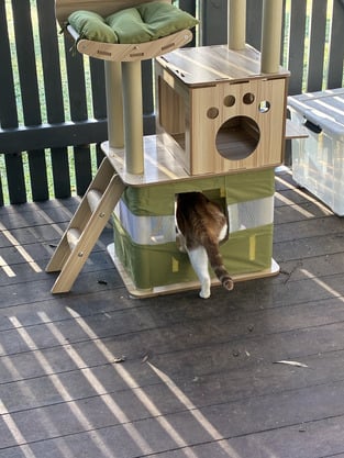 review image 1