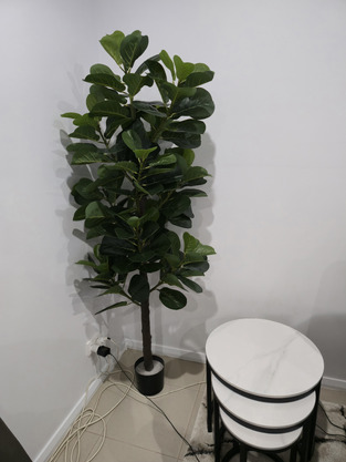 review image 0