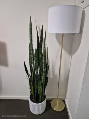 review image 0