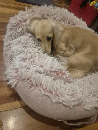 review image 0