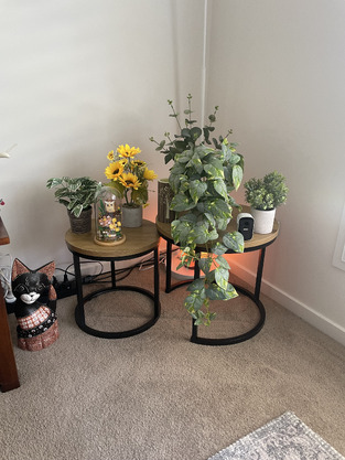 review image 0