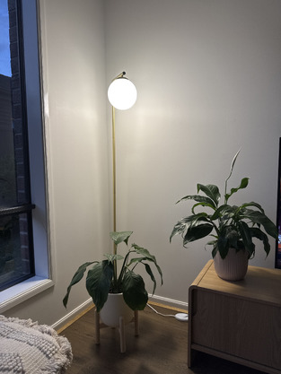review image 0