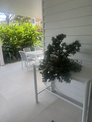 review image 2