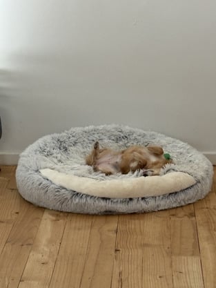 review image 1