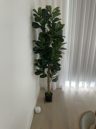review image 1