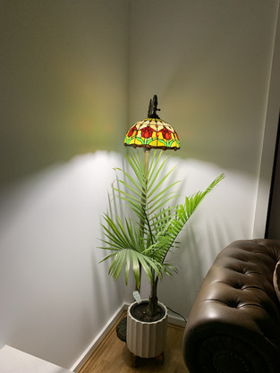 review image 1