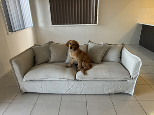 review image 1