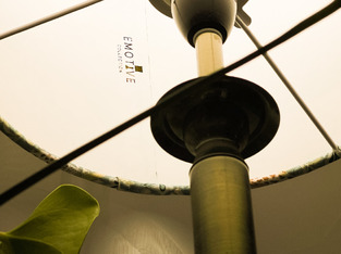 review image 3