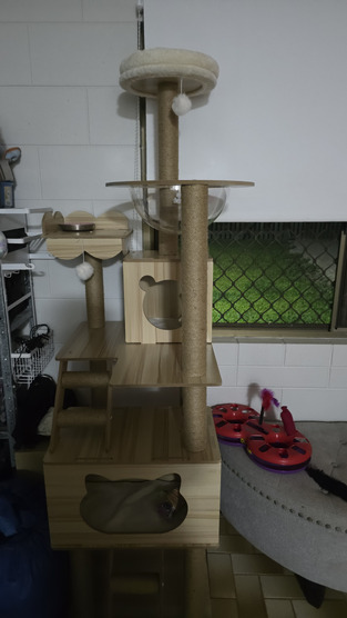 review image 0