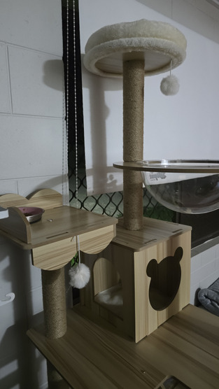 review image 1