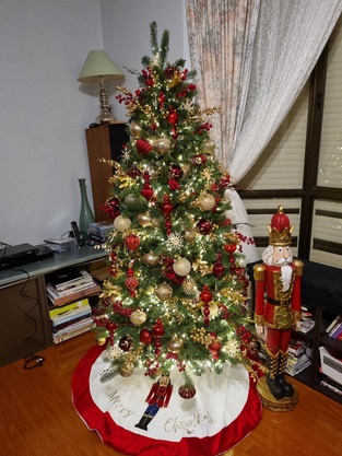 review image 1