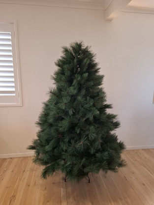 review image 1