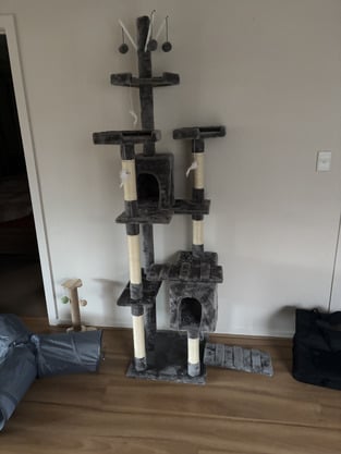 review image 4