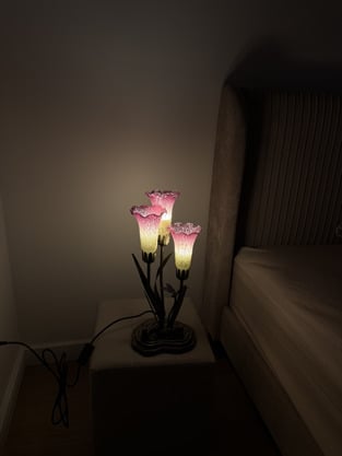 review image 0