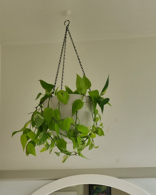 review image 0
