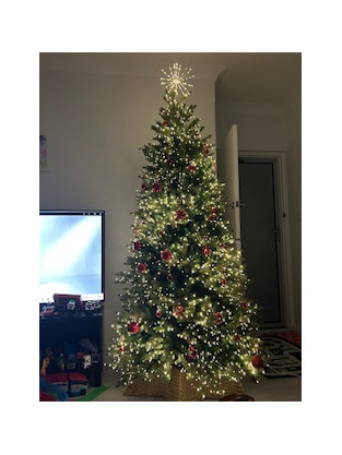 review image 1
