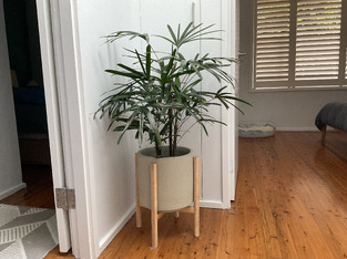 review image 0