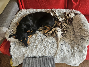 review image 0