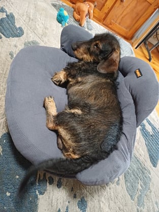 review image 0
