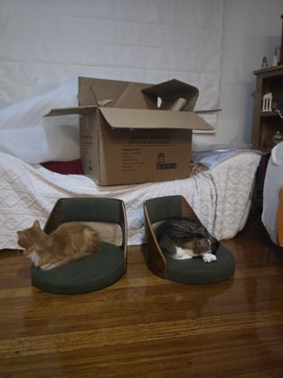 review image 1