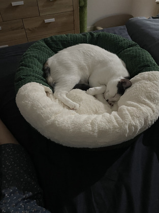 review image 0