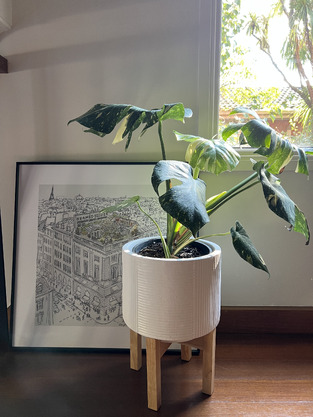 review image 1