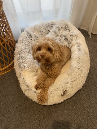 review image 2