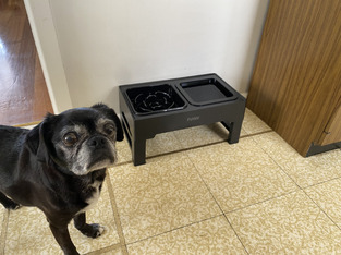 review image 1