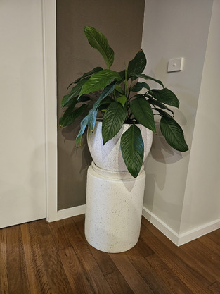 review image 0