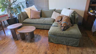 review image 1