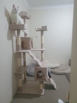 review image 1