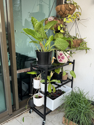 review image 1