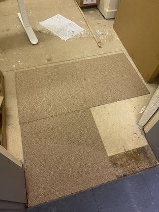 review image 2