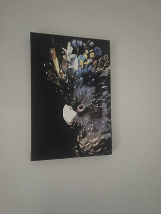 review image 0
