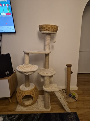 review image 0