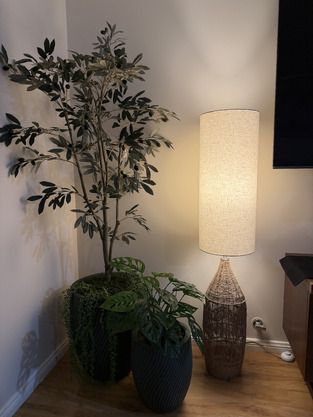 review image 0