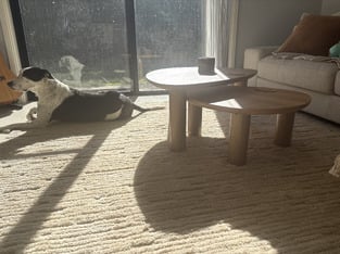 review image 1