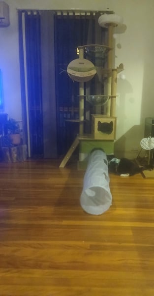 review image 1
