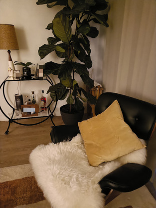 review image 1