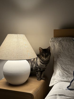 review image 1