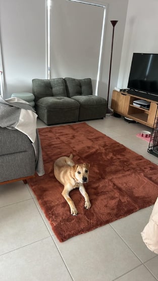 review image 0