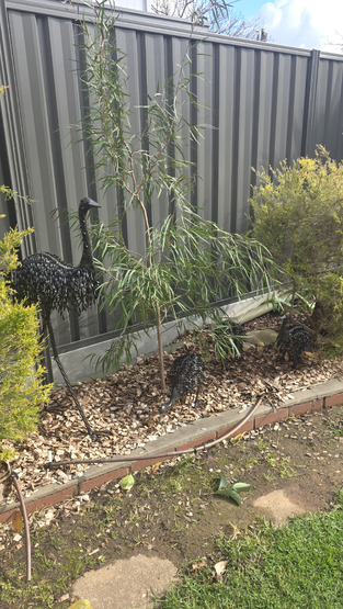 review image 1
