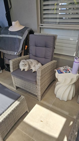 review image 1